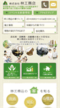 Mobile Screenshot of hayashi-koumuten.net